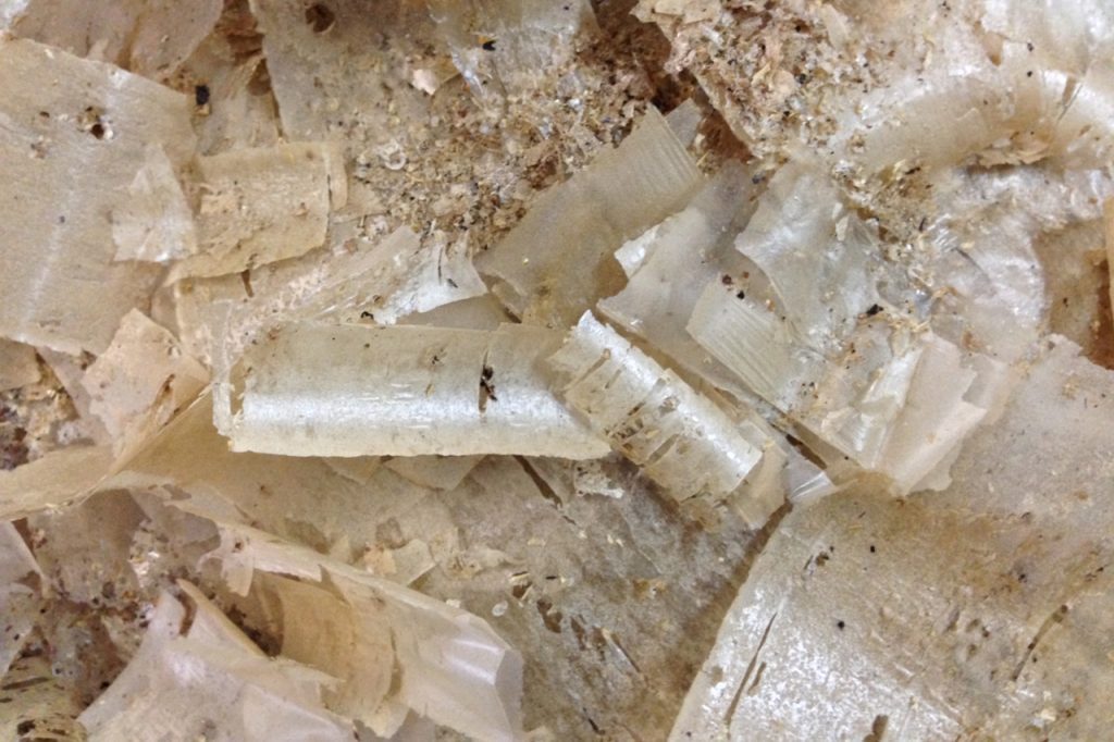 dried spent grains - image